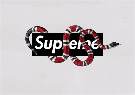 supreme gucci snake logo|supreme gucci snake background.